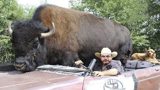 15 Самых Необычных Питомцев