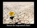 SONHO IMPOSSÍVEL - Maria Bethânia 