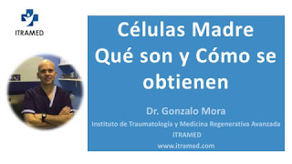 CELULAS MADRE  - Qúé son y cómo se obtienen - ITRAMED - Instituto de Traumatología y Medicina Regenerativa Avanzada