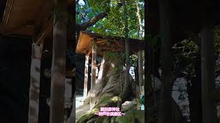 この場所をあまり知られていない猿田彦神社(神戸市須磨区)