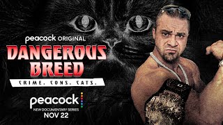 Dangerous Breed: Crime. Cons. Cats. | Official Trailer video