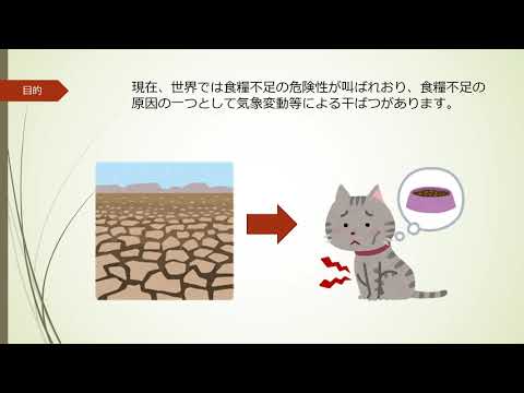 川浦研究室紹介