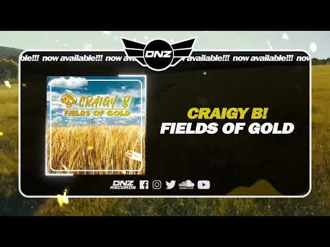 DNZF1386 // CRAIGY B! - FIELDS OF GOLD (Official Video DNZ Records)