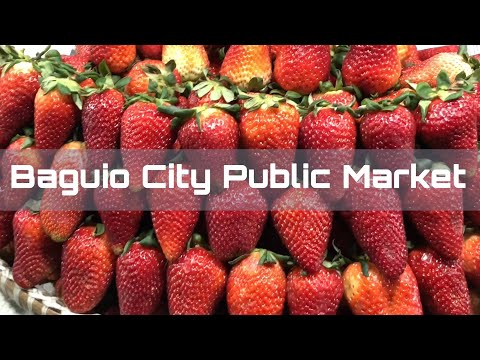 download lagu mp3 mp4 Strawberry Season In Baguio, download lagu Strawberry Season In Baguio gratis, unduh video klip Strawberry Season In Baguio