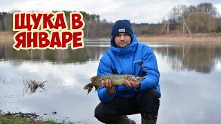 Рыбалка в конце января на щуку
