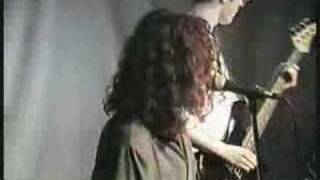 Tripping Daisy at Trees