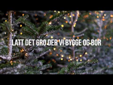 download lagu mp3 mp4 Nordnorsk Julesalme Lyrics, download lagu Nordnorsk Julesalme Lyrics gratis, unduh video klip Nordnorsk Julesalme Lyrics