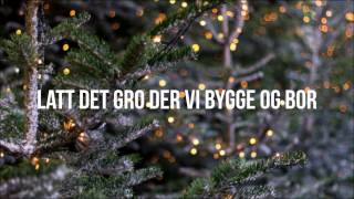 nordnorsk julesalme - moddi [lyrics] | Clifford Clouds