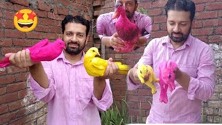 Pink Color Rabbits - Sub Ko Pink Color Kr Diya - Rear Pink Pigeon - 3mbvlogs