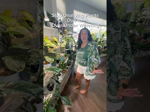 How to properly water your plants. #plantcare #plant101  #plants #houseplants #wateringplants