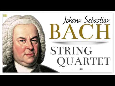 Bach - String Quartet | Classical Music Collection