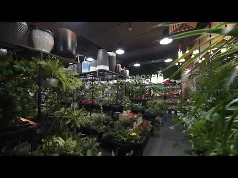 floral garden vlog 🌸❤ | jumana khan