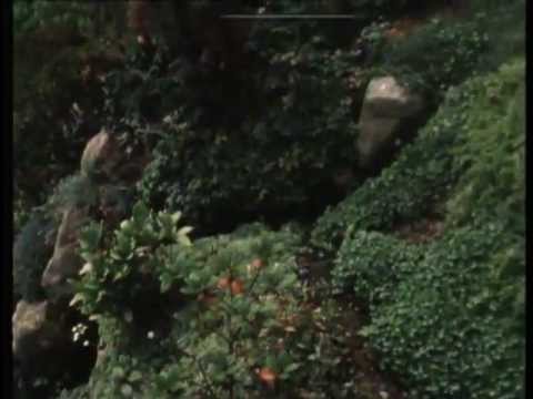 Open tuin Rotstuin Ber Slangen TV uitzending 1985, Maastricht, Nico Tillie .mp4