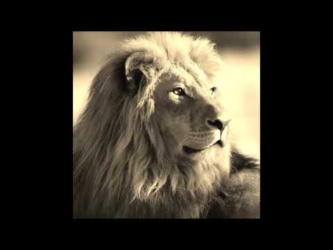 ER LEONE RICONOSCENTE   Trilussa   voce Paolo Fiorini