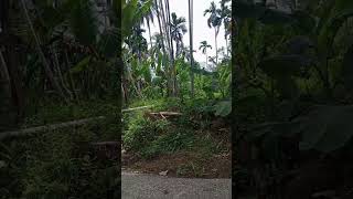 Download lagu kekeringan akibat musim kemarau mp3