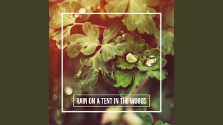 Deep Forest Ambience