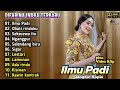 DIFARINA INDRA FULL ALBUM TERBARU ILMU PADI SIGAR NGANGGUR OM ADELLA MUSIC DANGDUT KOPLO 2024