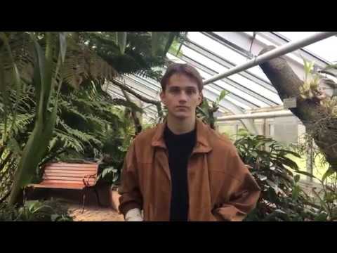 Benno Gut  - Euro [prod.  Faileezy] (Official Video)