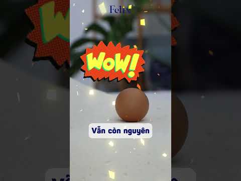 Video Gối cao su Felix - Zen
