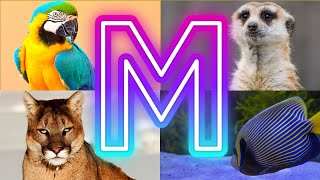 Animals And Birds Starting with M || Amazing Animals Starting With M