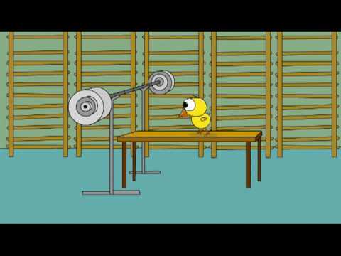 PINDOL - SIŁOWNIA (ODC. 50)