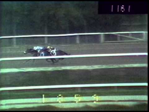 Clásico del Caribe 1987 - Rayo Láser (VEN)