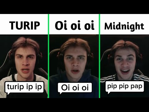 Oi oi oi a eye eye meme Vs Tulip Vs Midnight City