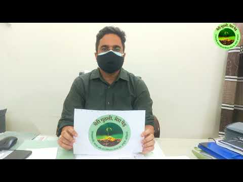 DFO Meerut - Shri Rajesh Kumar's Appeal | मेरी गुठली मेरा पेड़ Campaign | Meerut