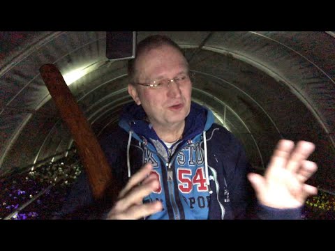 A Larry Winiwini Gurruwiwi Yidaki Tuition