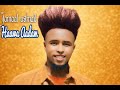 New Ethiopian Oromo Music Jamaal Usmaa Il Haawa Aadam 2026