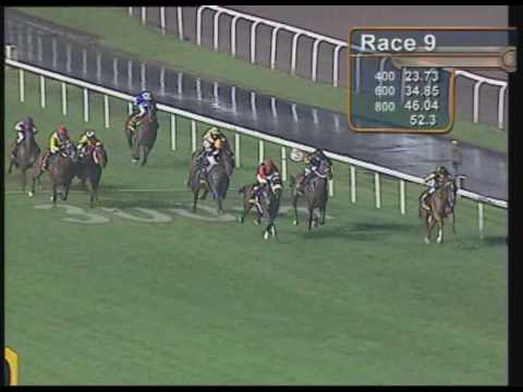 KrisFlyer International Sprint 2010 (Green Birdie)