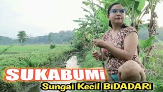 Download lagu Mancing di sungai sawah alam pedesaan yang indah di temani udara pagi yang sejuk mp3 Download lagu Mancing di sungai sawah alam pedesaan yang indah di temani udara pagi yang sejuk mp3