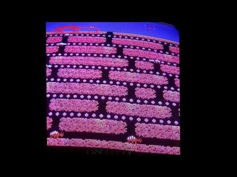 Anteater Arcade Game