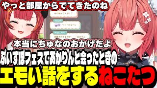 【雑談】ぶいすぽフェスであかりんと初めて会ったときのエモい話をするねこたつ【猫汰つな/夢野あかり/ぶいすぽ切り抜き】