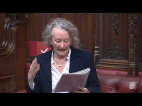 Domestic Abuse Bill Committee Stage Day 2 - the links between poverty, drug abuse and domestic abuse