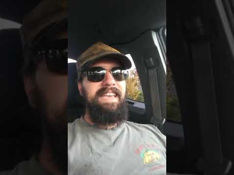 The Last Great Audit on Heroes