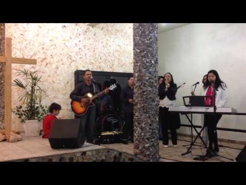 Pássaro Livre - Grupo Sementes da Paz