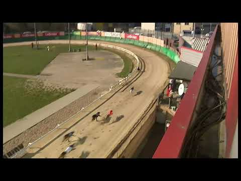 Aayamza Breeze - Ladbrokes Golden Jacket 1048