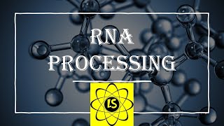 RNA Processing