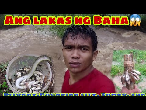 ISDANG PAITAN PAMAIN SA KITANG o TAAN |KASILI HUNTING | INABUTAN KAMI NG MALAKAS NA BAHA