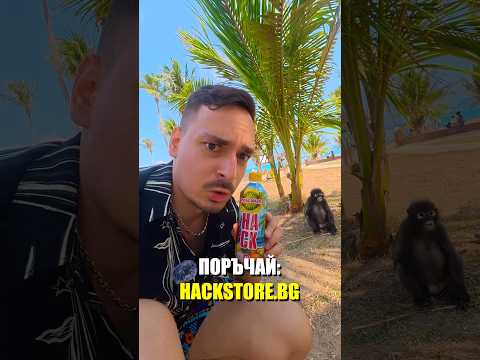 Намерих дива маймуна на остров в морето… и й дадох HACK 🙈
