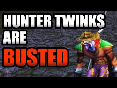 Hunter Twinks Are BUSTED!!! Should You Play A Level 19 Hunter Twink?