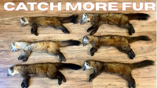 Catch More Fur on the Wilderness Trapline :Episode 45