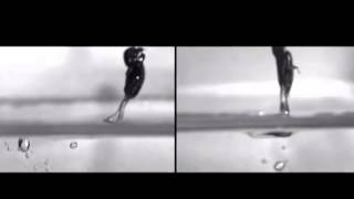 Spring loaded cricket takes water in stride