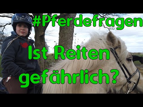 #Pferdefragen: Ist Reiten gefährlich?