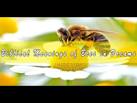 Biblical Meaning of Bees in Dreams & Interpretation