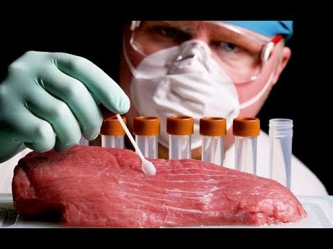 A Carne  Criada em Laboratórios  Reportagem do Fantástico
