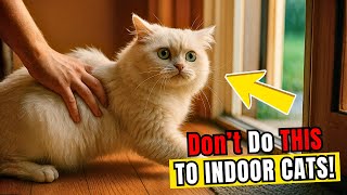 If your cat never goes outside, don’t do THIS! Scientists warn