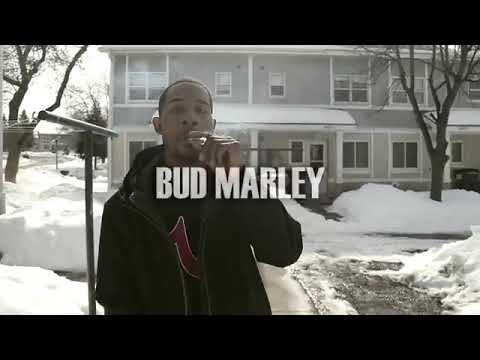 Bud Marley sleep walking remix