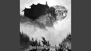 Carpathian Forest